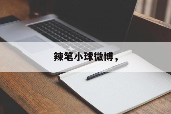 辣笔小球微博，-第1张图片-