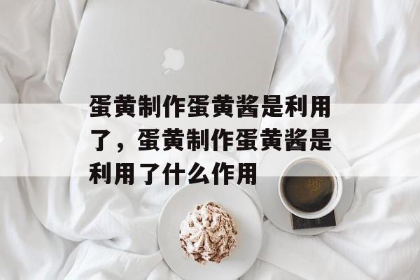 蛋黄制作蛋黄酱是利用了，蛋黄制作蛋黄酱是利用了什么作用-第1张图片-