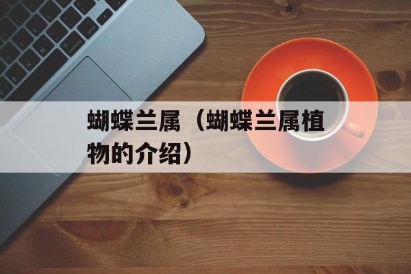 蝴蝶兰属（蝴蝶兰属植物的介绍）-第1张图片-