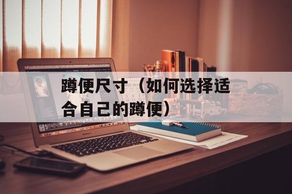 蹲便尺寸（如何选择适合自己的蹲便）-第1张图片-