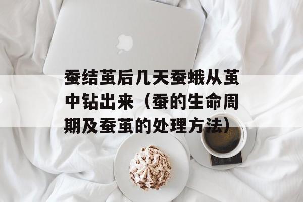 蚕结茧后几天蚕蛾从茧中钻出来（蚕的生命周期及蚕茧的处理方法）-第1张图片-