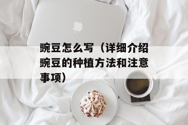 豌豆怎么写（详细介绍豌豆的种植方法和注意事项）-第1张图片-