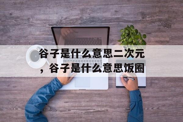 谷子是什么意思二次元，谷子是什么意思饭圈-第1张图片-