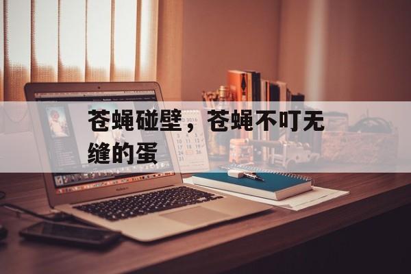 苍蝇碰壁，苍蝇不叮无缝的蛋-第1张图片-