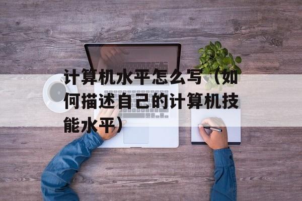 计算机水平怎么写（如何描述自己的计算机技能水平）-第1张图片-