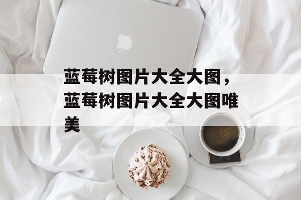 蓝莓树图片大全大图，蓝莓树图片大全大图唯美-第1张图片-