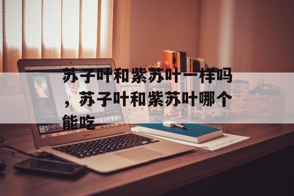 苏子叶和紫苏叶一样吗，苏子叶和紫苏叶哪个能吃-第1张图片-