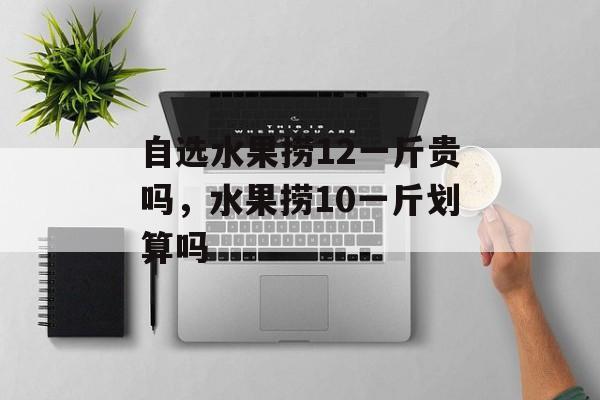 自选水果捞12一斤贵吗，水果捞10一斤划算吗-第1张图片-
