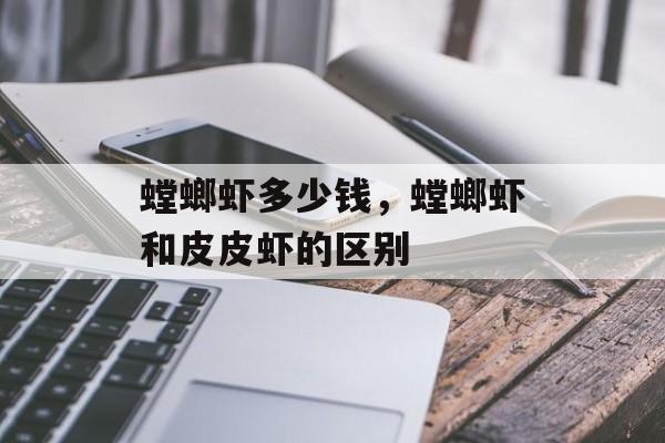 螳螂虾多少钱，螳螂虾和皮皮虾的区别-第1张图片-