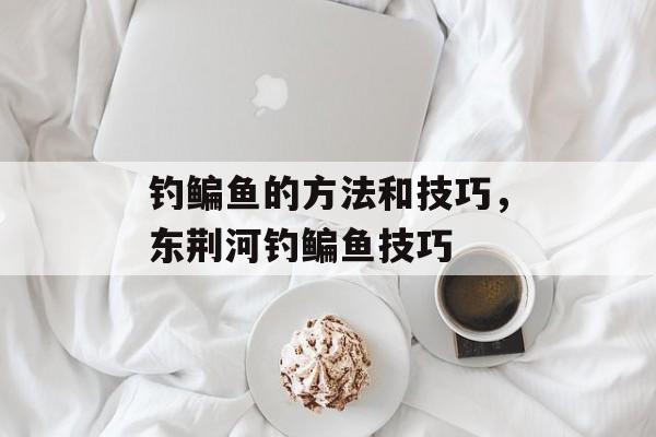 钓鳊鱼的方法和技巧，东荆河钓鳊鱼技巧-第1张图片-