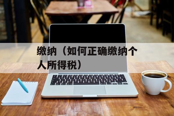 缴纳（如何正确缴纳个人所得税）-第1张图片-