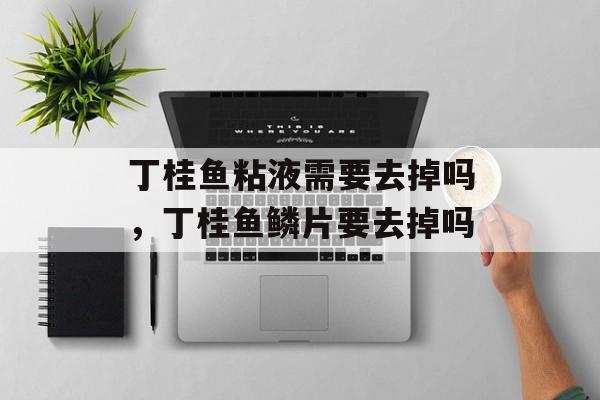 丁桂鱼粘液需要去掉吗，丁桂鱼鳞片要去掉吗-第1张图片-
