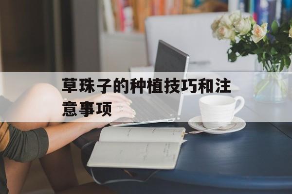草珠子的种植技巧和注意事项-第1张图片-