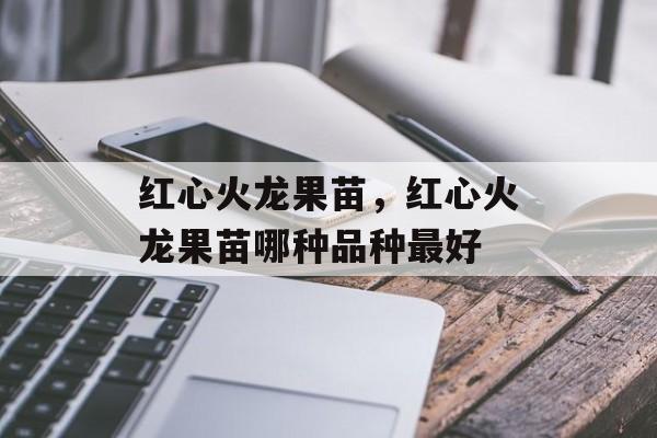红心火龙果苗，红心火龙果苗哪种品种最好-第1张图片-