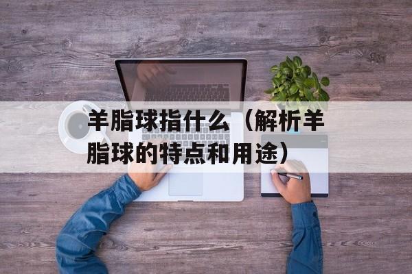 羊脂球指什么（解析羊脂球的特点和用途）-第1张图片-