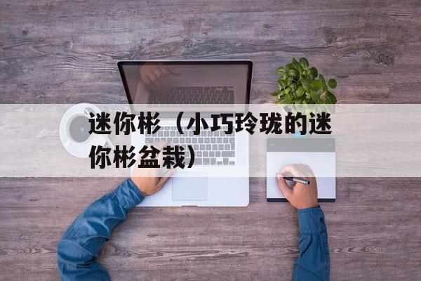 迷你彬（小巧玲珑的迷你彬盆栽）-第1张图片-
