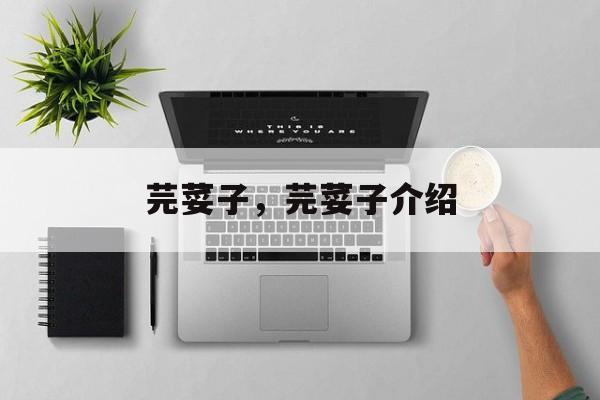 芫荽子，芫荽子介绍-第1张图片-