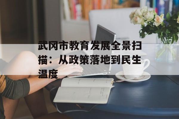 武冈市教育发展全景扫描：从政策落地到民生温度-第1张图片-