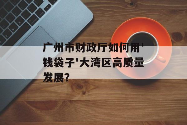 广州市财政厅如何用'钱袋子'大湾区高质量发展？-第1张图片-