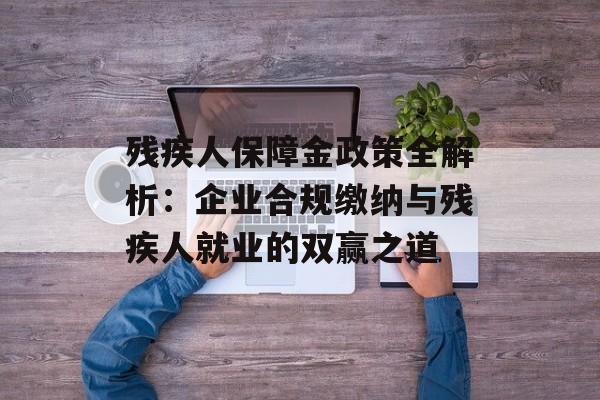 残疾人保障金政策全解析：企业合规缴纳与残疾人就业的双赢之道-第1张图片-