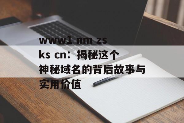 www1 nm zsks cn：揭秘这个神秘域名的背后故事与实用价值-第1张图片-