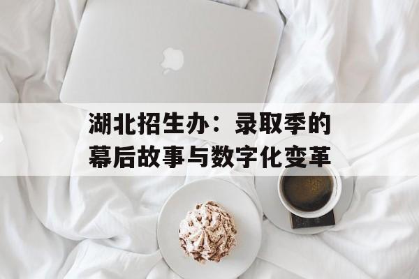 湖北招生办：录取季的幕后故事与数字化变革-第1张图片-