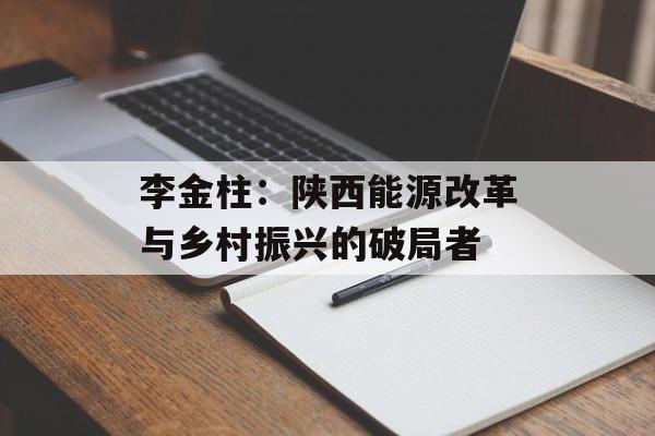 李金柱:陕西能源改革与乡村振兴的破局者-第1张图片- 李金柱:陕西能源改革与乡村振兴的破局者-第1张图片-
