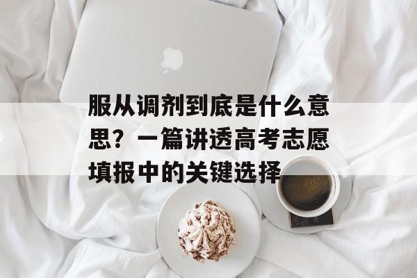 服从调剂到底是什么意思?一篇讲透高考志愿填报中的关键选择-第1张图片- 服从调剂到底是什么意思?一篇讲透高考志愿填报中的关键选择-第1张图片-