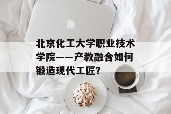 北京化工大学职业技术学院——产教融合如何锻造现代工匠？-第1张图片-