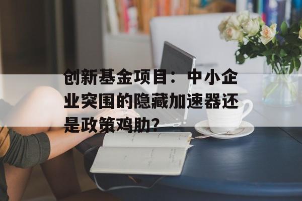 创新基金项目：中小企业突围的隐藏加速器还是政策鸡肋？-第1张图片-