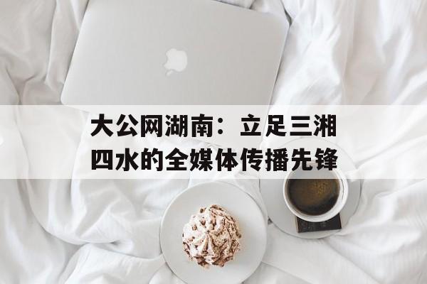 大公网湖南：立足三湘四水的全媒体传播先锋-第1张图片-