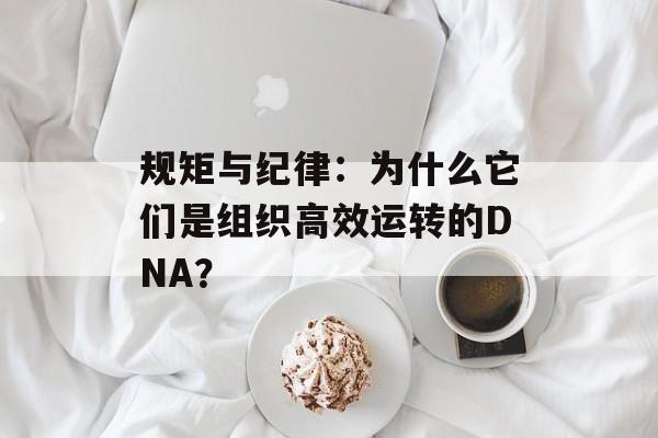 规矩与纪律：为什么它们是组织高效运转的DNA？-第1张图片-
