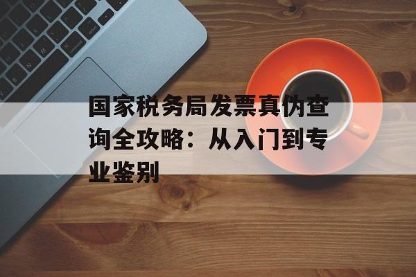 国家税务局发票真伪查询全攻略：从入门到专业鉴别-第1张图片-