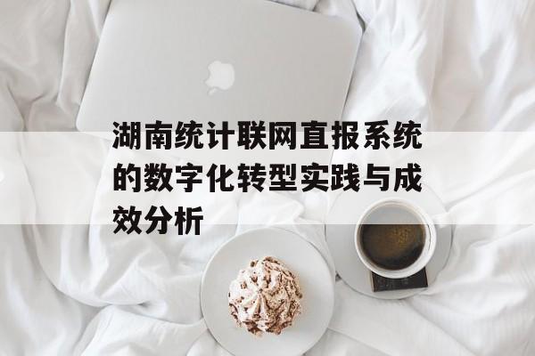 湖南统计联网直报系统的数字化转型实践与成效分析-第1张图片-