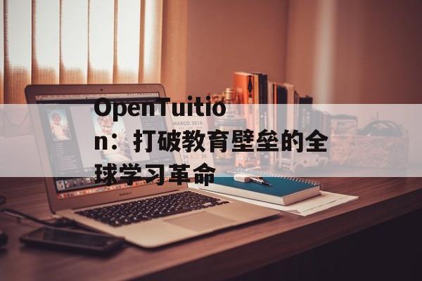 OpenTuition：打破教育壁垒的全球学习革命-第1张图片-